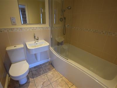 Picture 20